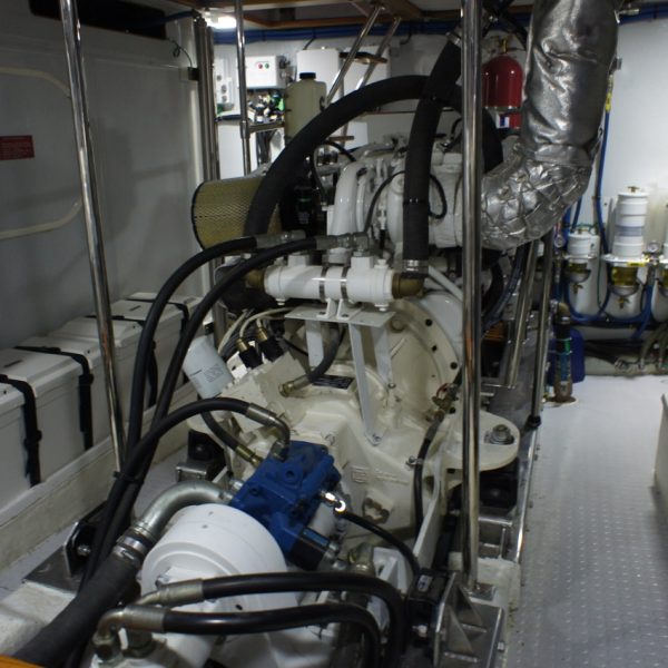 Selene 54