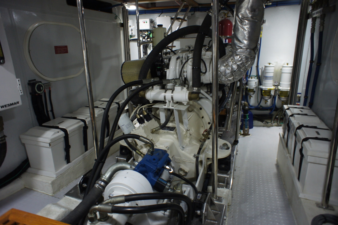 Selene 54