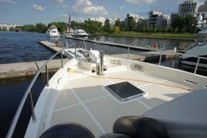 Selene 54