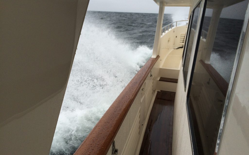 Selene 54