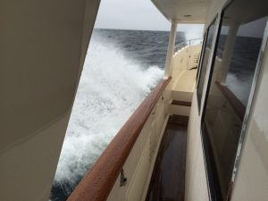 Selene 54