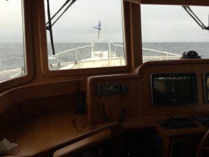 Selene 54